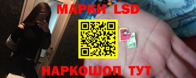 ПСИЛОЦИБИНОВЫЕ ГРИБЫ Нальчик