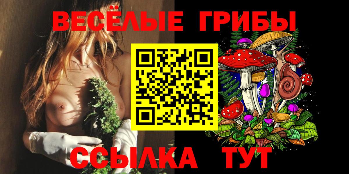 Галлюциногенные грибы GOLDEN TEACHER  где купить наркоту  Юрга  Вход с VPN 
