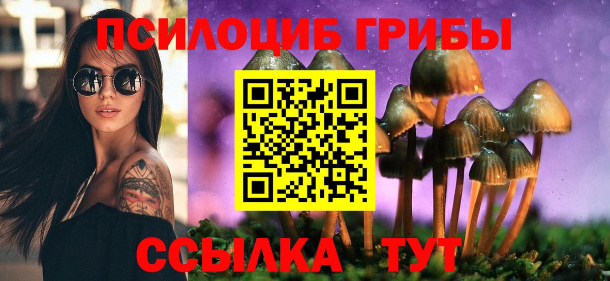 Галлюциногенные грибы мухоморы Юрга